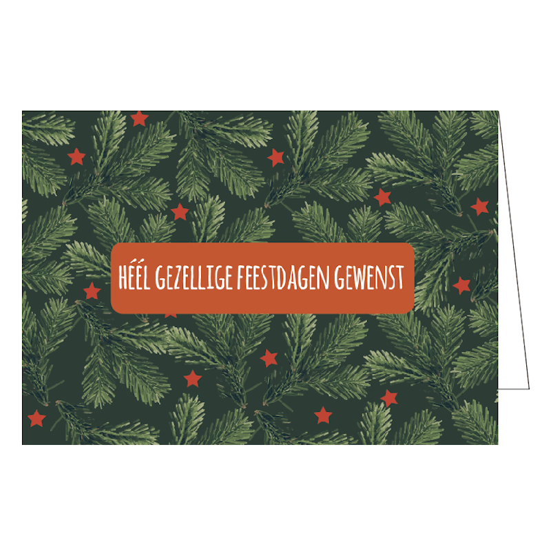 Héél gezellige feestdagen gewenst (5 stuks)