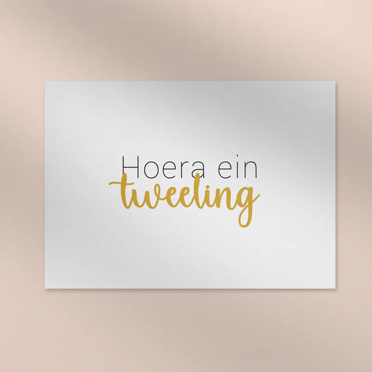 Hoera ein tweeling